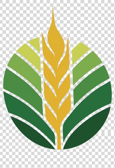 Aeman Rice